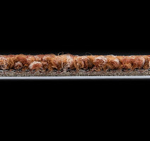 Desso Marvel 5221 фото 4 | FLOORDEALER